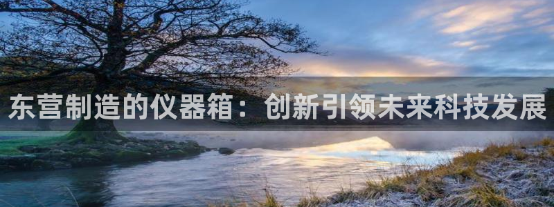 门徒彩票娱乐平台大代理：东营制造的仪器箱：创新引领未来科技发