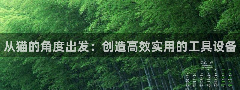 门徒娱乐帐号注册教程：从猫的角度出发：创造高效实用的工具设备