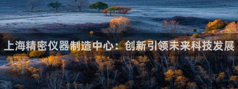门徒娱乐丈六七五一38：上海精密仪器制造中心：创新引领未来科