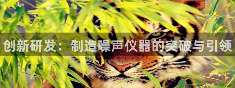 门徒娱乐平台是黑平台吗：创新研发：制造噪声仪器的突破与引领