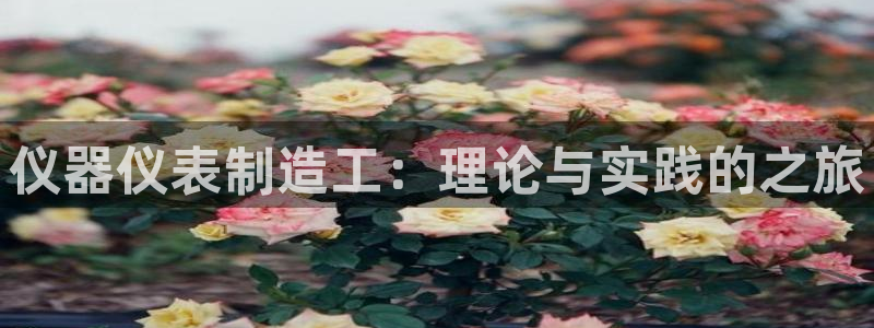 娱乐门徒最新章节免费阅读：仪器仪表制造工：理论与实践的之旅