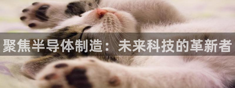 门徒娱乐成功案例：聚焦半导体制造：未来科技的革新者