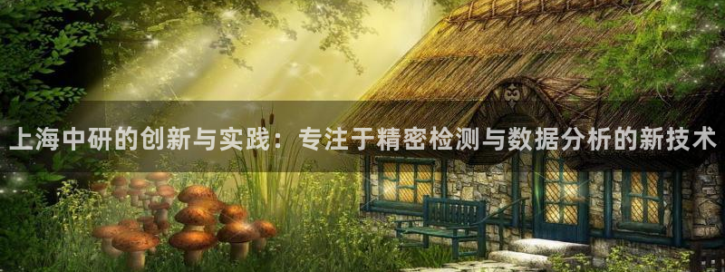 门徒娱乐跑路了吗：上海中研的创新与实践：专注于精密检测与数据