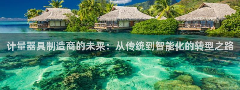 门徒娱乐是什么软件做的：计量器具制造商的未来：从传统到智能化