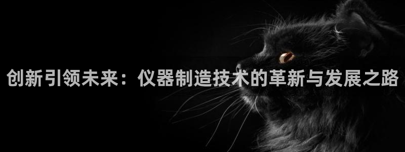 门徒娱乐怎么挂机赚钱：创新引领未来：仪器制造技术的革新与发展