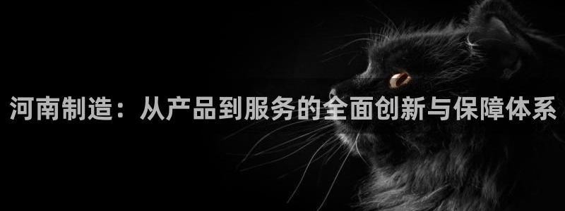 门徒娱乐官方网址：河南制造：从产品到服务的全面创新与保障体系