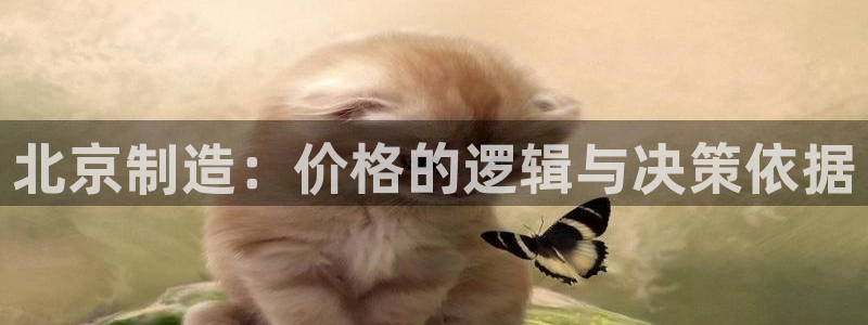 门徒娱乐的产品介绍：北京制造：价格的逻辑与决策依据