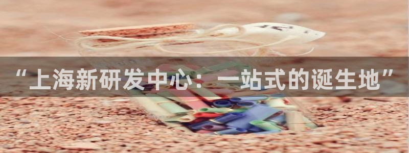 门徒娱乐注册平台：“上海新研发中心：一站式的诞生地”
