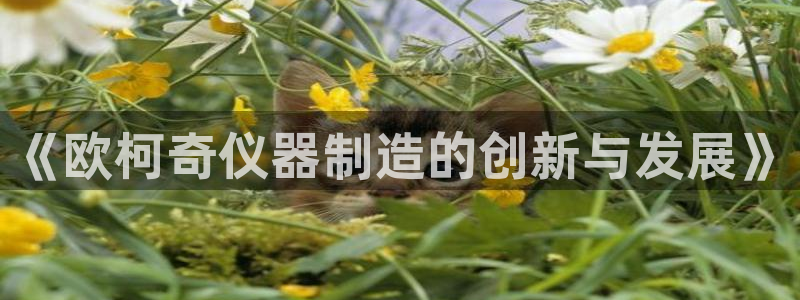 门徒娱乐平台安装教程：《欧柯奇仪器制造的创新与发展》
